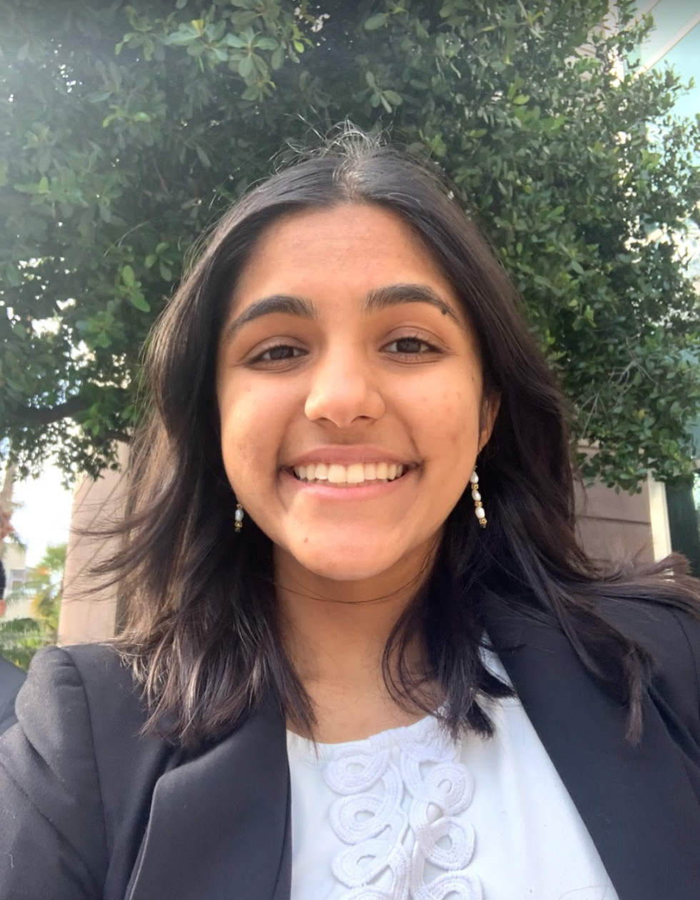 Congress Harvard Debate Council Summer